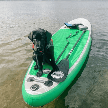 POP Board Co 11' Pop Up Stand Up Paddle Board - Green/Black - Good Wave Canada